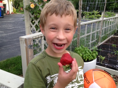 : My son, chowing down on “all-natural” strawberries nearly the size of his fist. Copyright 2013 Rebecca Klaper.
