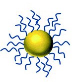 Spherical gold nanoparticle. image modified from Bozich et al., Creative Commons License 