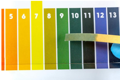 a rainbow of pH test colors in a from orange (labeled 5) on the left to dark blue (labeled 13) on the right, with a green test strip held above them