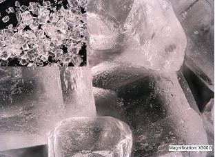 black and white micrograph showing cubic translucent crystals