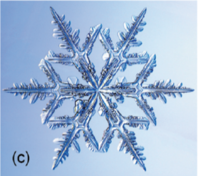 blue and white micrograph of a crystalline snowflake