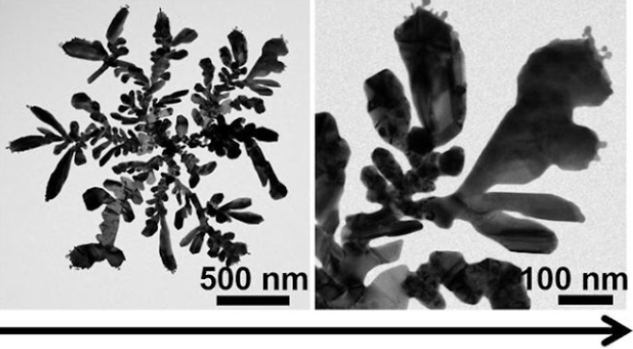Left: snowflake-shaped dark gray nanocrystal (scale bar 500 nm). Right: zoomed in view of part of one branch, showing tiny extentions branching off the ends (scale bar 100 nm)
