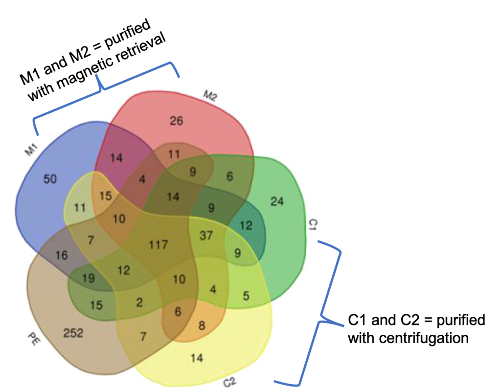 a rainbow of overlapping color areas with a number in each segment ranging from 2 to 252. The top left area is labeled "M1 and M2 = purified with magnetic retrieval." The lower right area is labele "C1 and C2 = purified with centrifugation"